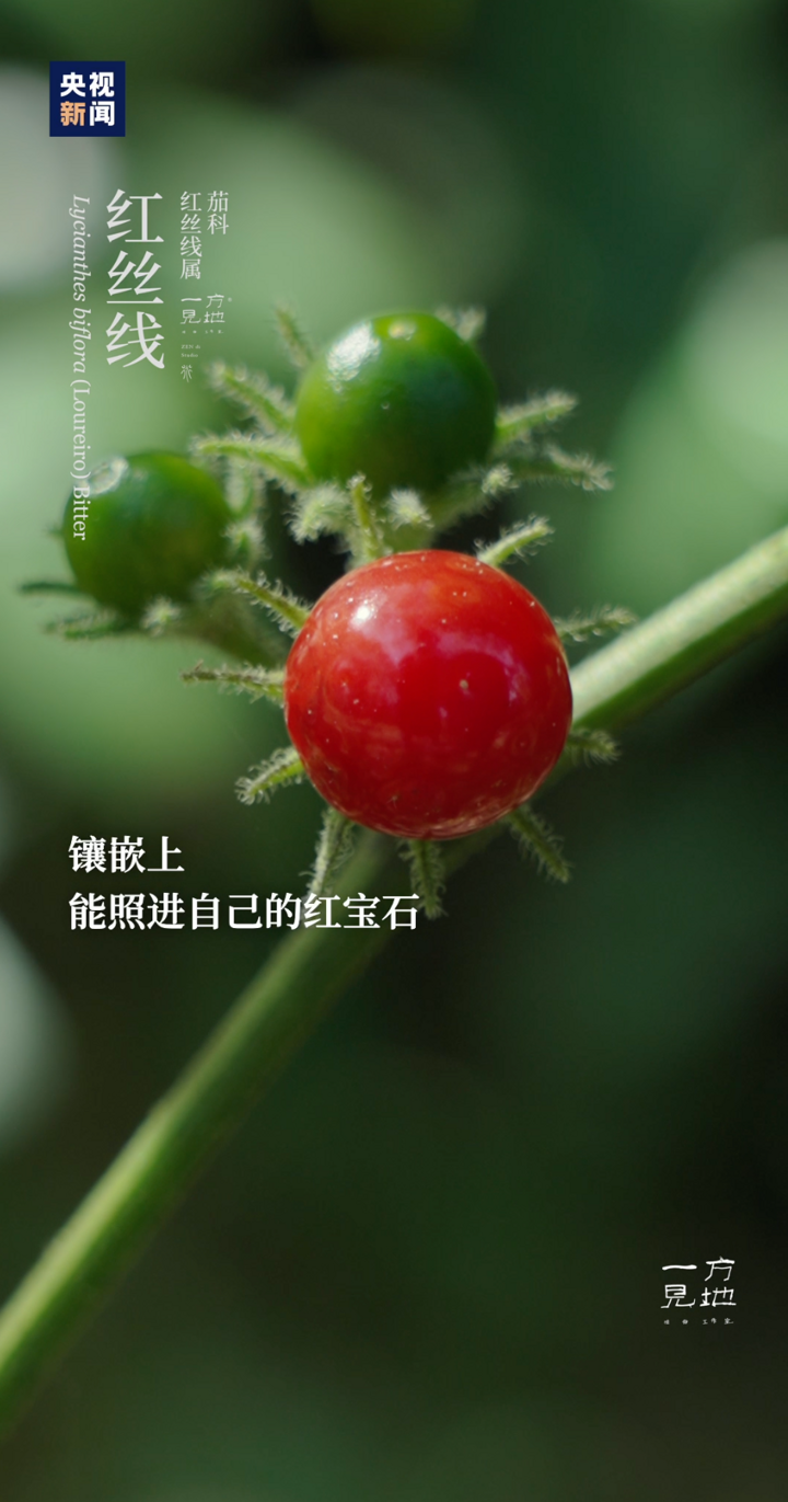 唐恬恬写的歌
