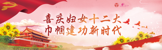 中国妇女第十二次全国代表大会 十二大 妇代会