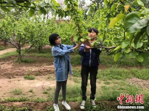袖珍夫妻 童话世界 核雕创业 直播达人