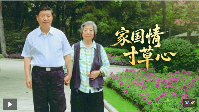 6e809056-fb7b-4e2d-b6c7-e115dfb2b9ab.png