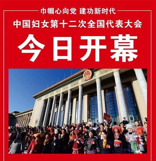 中国妇女第十二次全国代表大会 十二大 妇代会
