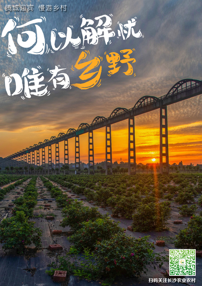 微信图片_20230815145849.jpg